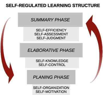 Figure 1. The SRL structure and its processes