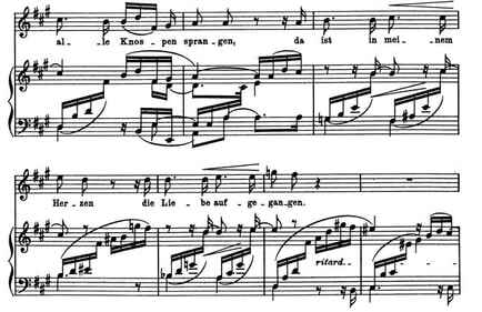 Example 3. Schumann “Im wunderschönen Monat Mai,” mm. 8-12.