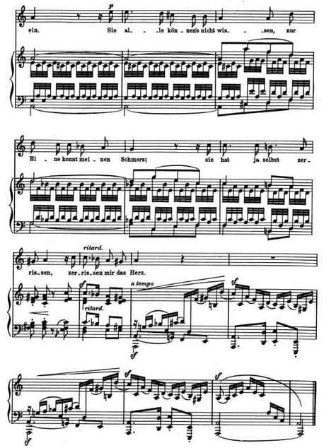 Example 9. Schumann Und wüßten's die Blumen, die kleinen mm.24-32.